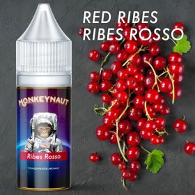 RIBES ROSSO - Aroma Concentrato 10ml - MonkeyNaut