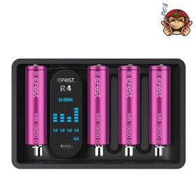 Caricabatterie iMate R4 - Efest