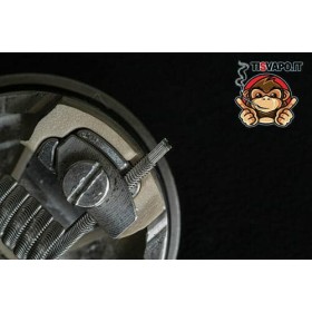 Hadaly's Stapled Alien - Breakill's Alien Lab (coppia 2pz)