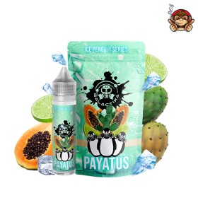 Payatus - i Pinguini - Liquido Scomposto 20ml - Galactika