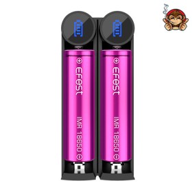 Caricabatterie Slim K2 - Efest