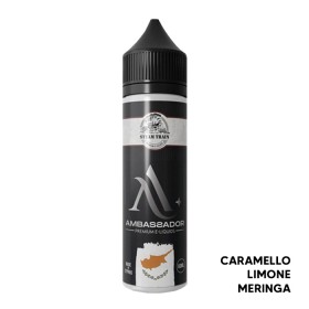 STEAM TRAIN CYPRUS - Liquido Scomposto 20ml - Ambassador