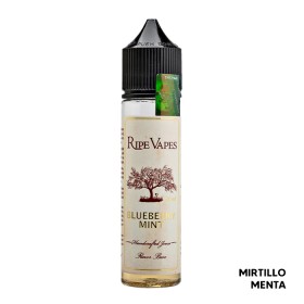 Blueberry Mint - Liquido Scomposto 20ml - Ripe Vapes