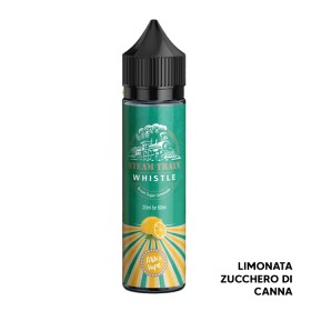 Whistle - Liquido Scomposto 20ml - Steam Train