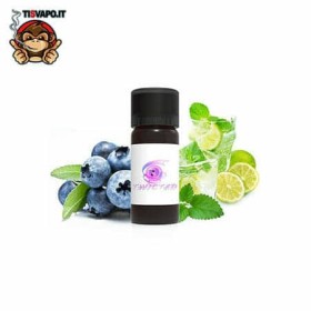 Blueberry Mojito - Aroma Concentrato 10ml - Twisted